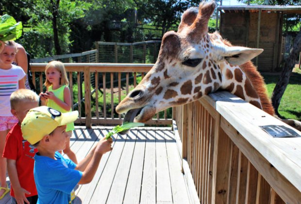 Meet The Animals Zoos And Animal Farms Near Philly Mommypoppins Things To Do In Philadelphia With Kids