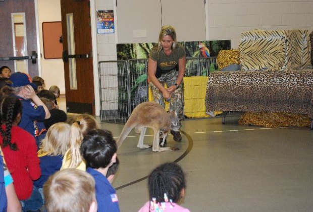 5 Animal Party Entertainers Houston Kids Will Go Wild For Mommypoppins Things To Do In Houston With Kids