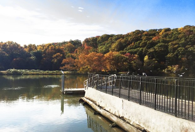 A visit to Inwood Hill Park feels like a true escape from the city