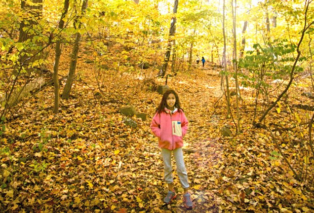 Find Family Adventure with a Hike at Palisades Interstate Park