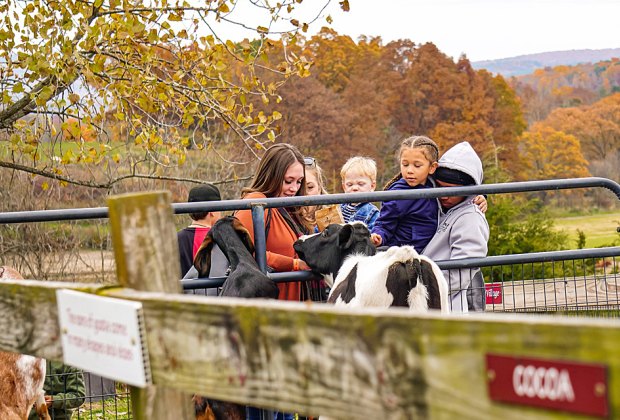 Family-friendly farms near NYC: Kelder's Farm