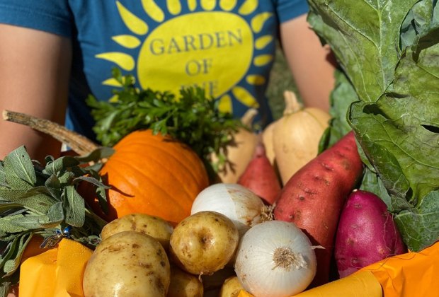 armful of vegetables