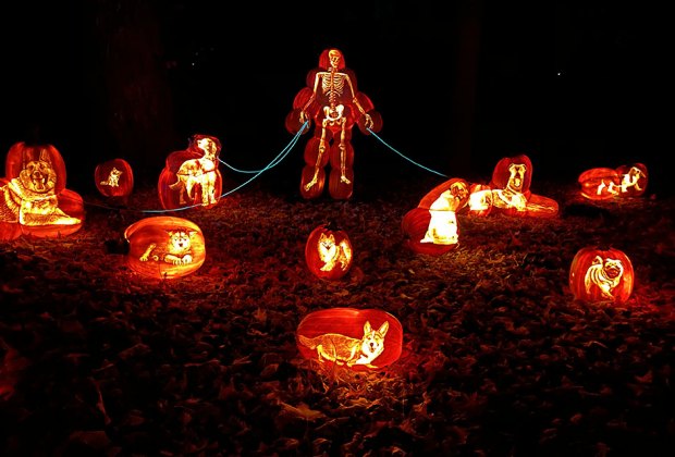 How To See the Great Jack-o'-Lantern Blaze in 2022 ...