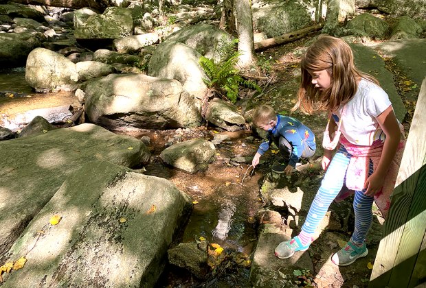 Play in the stream along the hiking trail at Hacklebarney State Park.