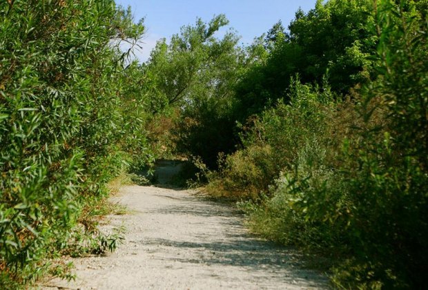 Wildlife Hikes for Kids  in Los Angeles: Hahamonga Watershed Park.