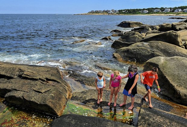 Photo of family at a tidal pool - Heat Wave Hot List