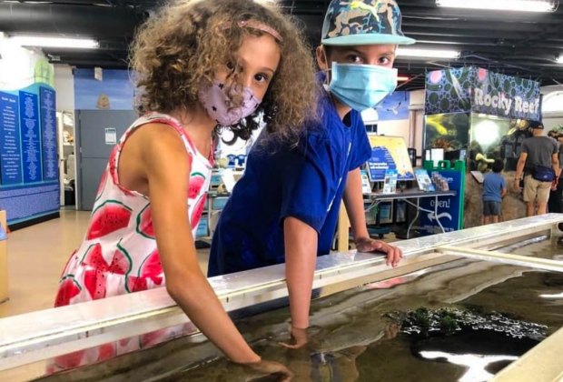 Visiting the Santa Monica Pier with Kids: Heal the Bay Aquarium