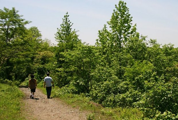 Staten Island Hiking Trails 14 Best Things To Do In Staten Island's Greenbelt With Nyc Kids |  Mommypoppins - Things To Do In New York City With Kids