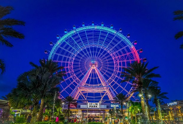 The Wheel at Icon Park 