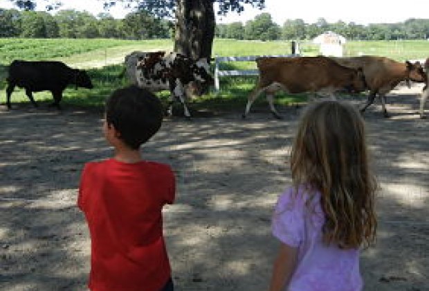10 Easy Boston-area Hikes for Preschoolers null