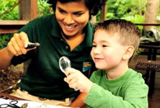 Best New Summer Day Camps for NYC Kids 2013