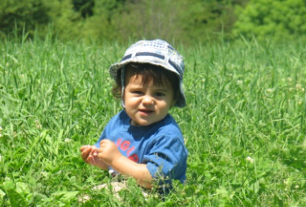 20 Things to Do with Kids in Jamaica Plain null