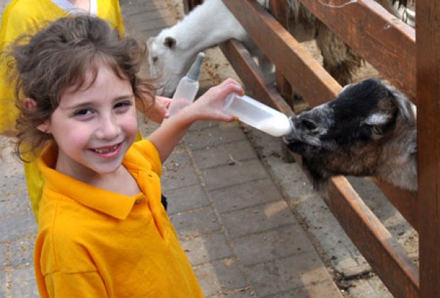 Animal Farms and Petting Zoos on Long Island | Mommy ...