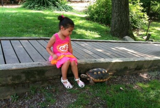 Interactive Exploration at Westchester Nature Centers