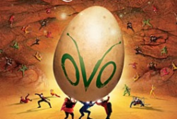 Cirque du Soleil: OVO - Review for Families null