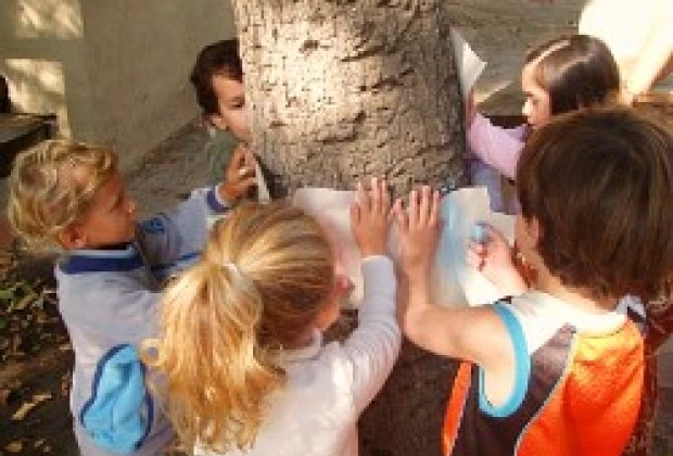 Co-Op Preschools and Nursery Schools in The Valley null