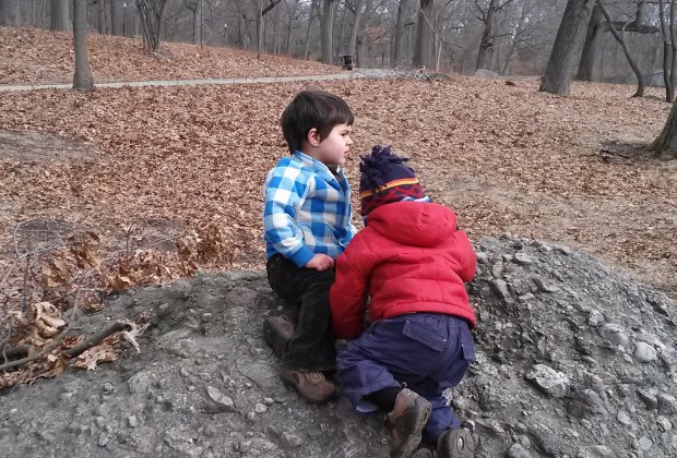 Exploring Franklin Park with Toddlers null