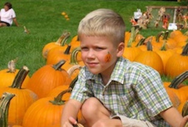 Pumpkin Patches and Corn Mazes in Litchfield County, CT