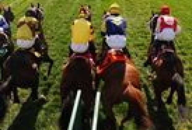 A Day at the Races: A Family Trip to Saratoga Springs