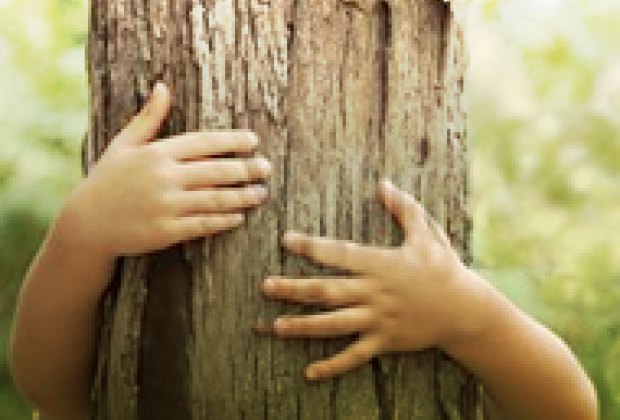 Washington Montessori School Summer Camps in Litchfield County, Connecticut null