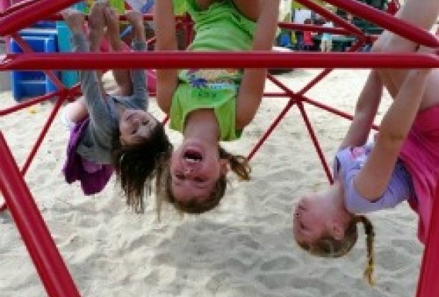 Co-op Preschools and Nursery Schools on the Westside null