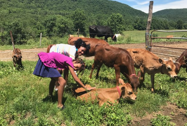 20 Things to Do This Summer With Kids in Litchfield County, CT
