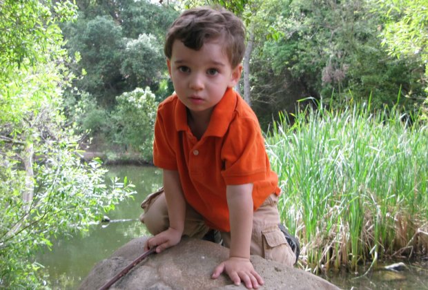 The ponds and lakes at Descanso are great for duck and turtle watching.