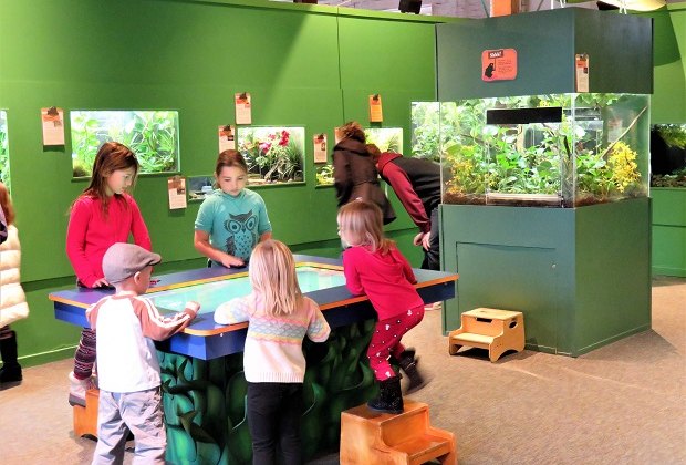 Photo of kids at Maritime Aquarium learning station.