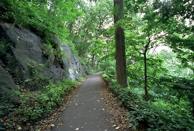 Hiking trail in Inwood Hill Park