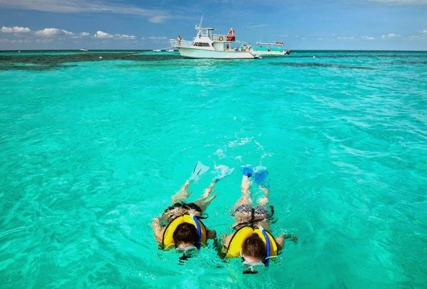 30 Things To Do in the Florida Keys with Kids: Swim in a coral reef