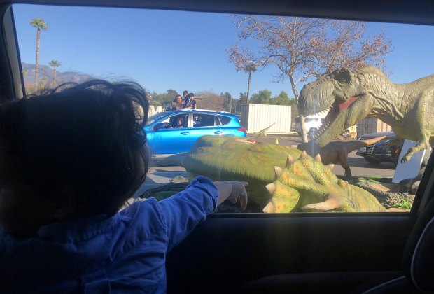 Jurassic Quest Drive Thru Returns This Summer Mommypoppins Things To Do With Kids