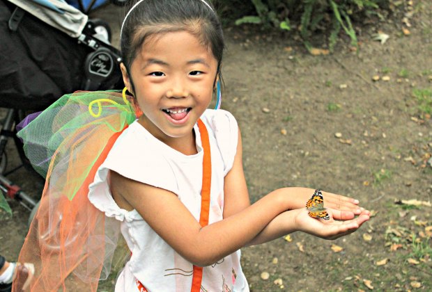 Hey, a butterfly caught a butterfly at Kidspace.