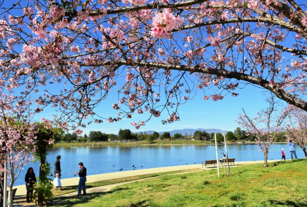 The Best Parks in LA Where Kids Can Run and Play: Lake Balboa Park