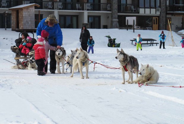dog sledding lake placid dog sledding lake placid