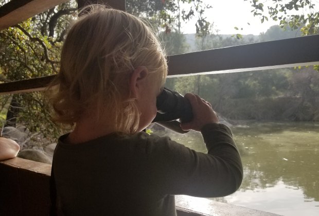 Kids can find ducks and other wildlife from the lookout deck at Descanso Gardens.