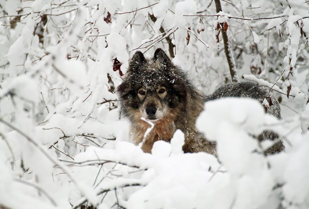 Where to Play Outside in NJ This Winter: Snow Sports, Hiking Trails ...