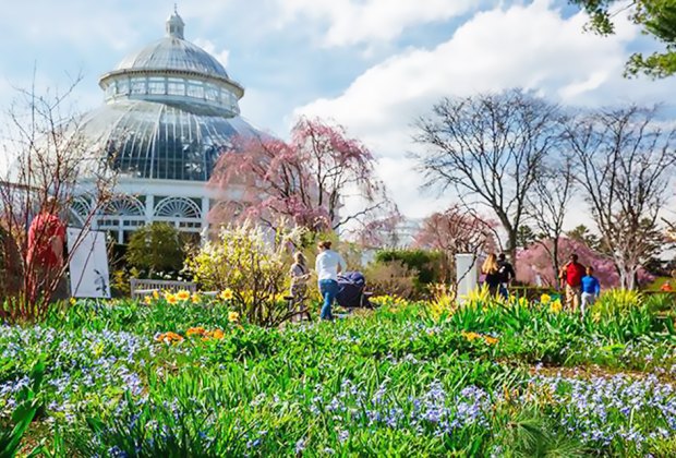 Things to do in NYC: New York Botanical Garden