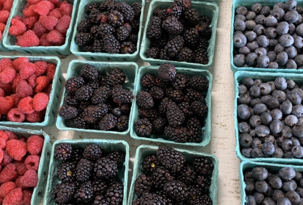 baskets of berries at Seven Ponds Orchard