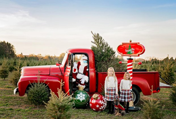 Christmas tree farms on Long Island: Santa's Christmas Tree Farm