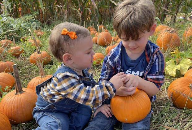 Pumpkin patches near Long Island Brightwaters Farms 