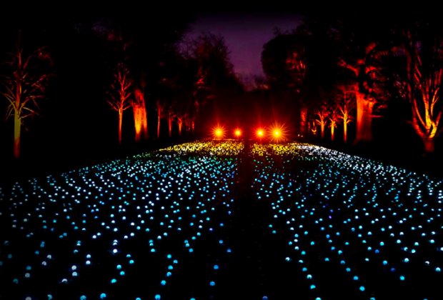 Christmas Light Displays in Los Angeles:Lightscape at the Arboretum