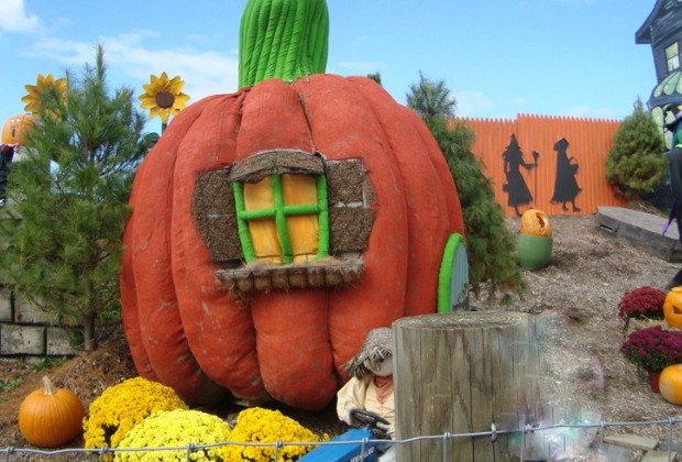 25 Fall Harvest Festivals Near Philly: Pumpkins, Apples, And Scarecrows ...