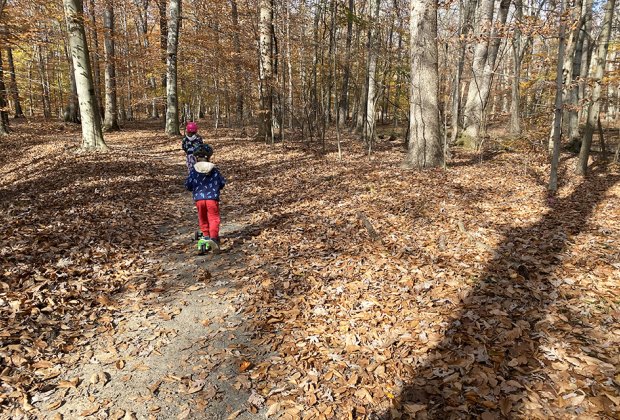 Morristown, NJ with kids: Loantaka Brook Reservation