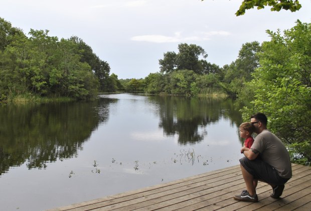 Exploring the Armand Bayou Nature Center