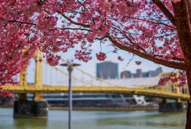 Pittsburgh Family Travel Guide Pittsburgh's waterfront offers plenty of activities for kids. Photo courtesy of Visit Pittsburgh
