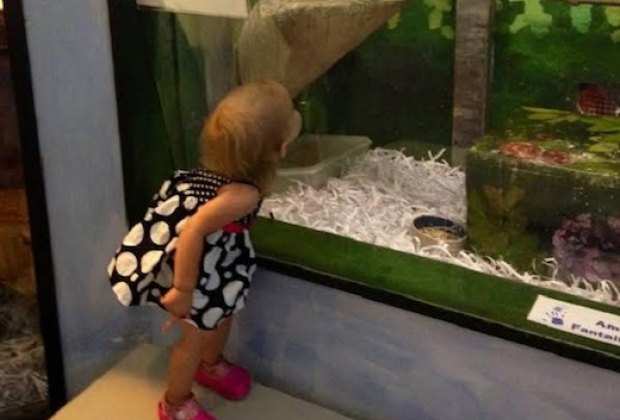 A Visit to Lutz Children's Museum in Manchester