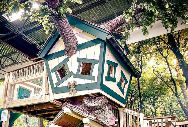 Climb up to the tree house at Magic Sky Play. Top Indoor Playgrounds in Central New Jersey