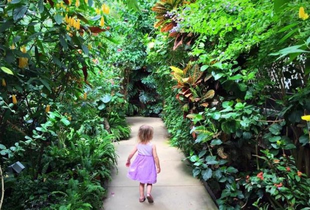 8 Easy Spring Break Getaways in New England for Families Are we in the tropics? It's warm and inviting at the Magic Wings Butterfly Conservatory in Massachusetts. Photo courtesy of Katie Wadland