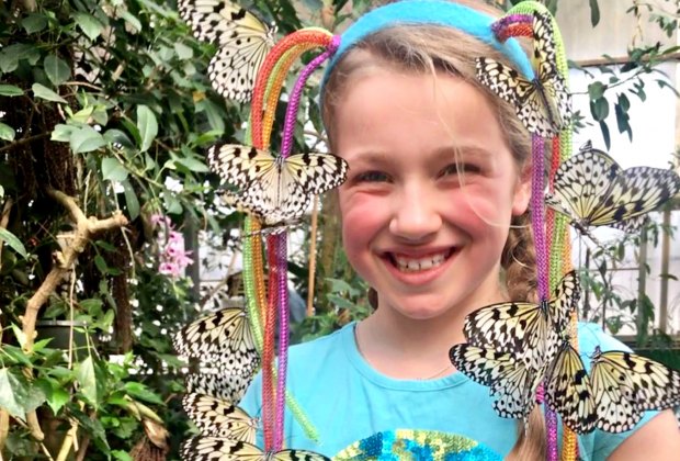 Butterflies are close enough to touch in Deerfield at the Magic Wings Butterfly Conservatory