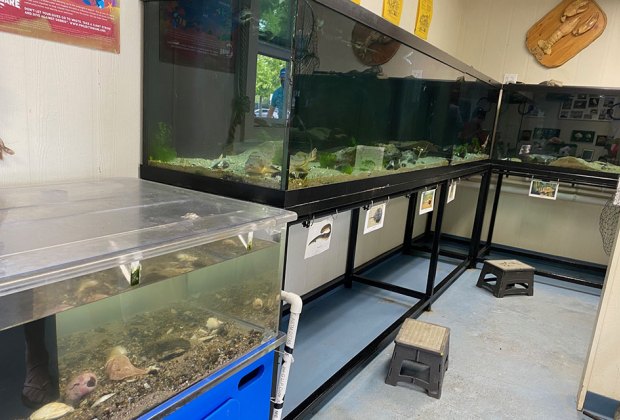 Aquariums in the Marine Education Center